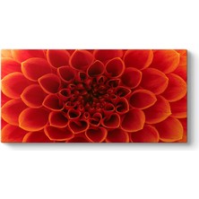 Tabloshop Çiçek ve Güzel Yaprakları Tablosu