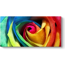 Tabloshop Rengarenk Gül Tablosu