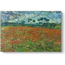 Tabloshop Vincent Van Gogh - Poppt Field  Tablosu