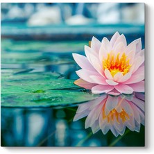 Tabloshop Pembe Nilüfer Tablosu