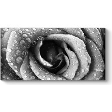 Tabloshop Siyah Beyaz Gül Duvar Tablosu