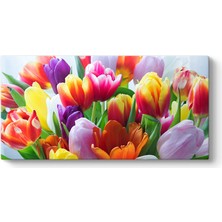 Tabloshop Renkli Lale Buketi Tablosu