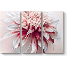 Tabloshop Vektörel Yıldız Çiçeği Tablosu