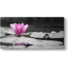 Tabloshop Pembe Nilüfer Çiçeği Tablosu