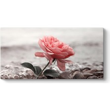 Tabloshop Sahilde Pembe Gül Tablosu