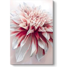 Tabloshop Vektörel Yıldız Çiçeği Tablosu