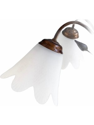 Ormey Dekoratif Avize