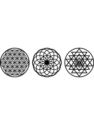 Numa Concept Ahşap Yaşam Çiçeği Sri Yantra Torus Nefesi Üçlü Dekoratif Tablo Duvar Süsü Shri Yantra