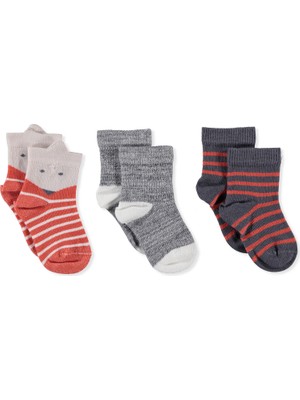 Aziz Bebe Ayıcık 3lü Soket Çorap