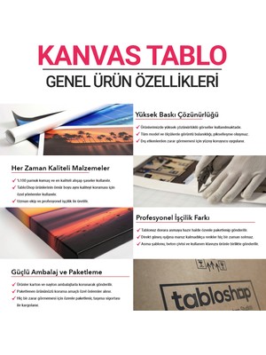 Tabloshop Terkedilmiş Araba Tablosu - Tabloshop