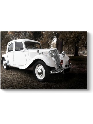 Tabloshop Vintage Car Tablosu