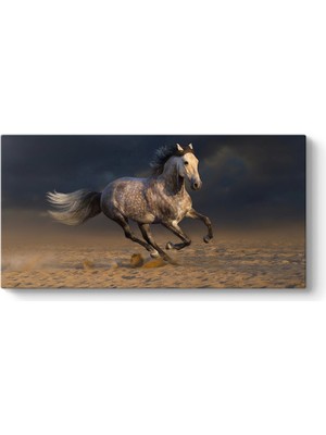 Tabloshop Kırçıllı At Tablosu