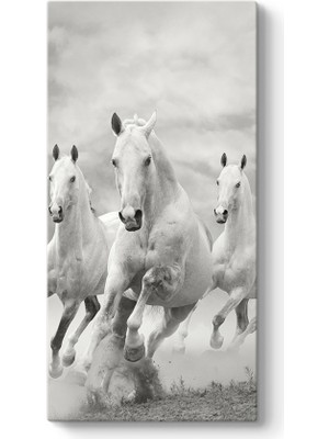 Tabloshop Koşan Beyaz At Tablosu
