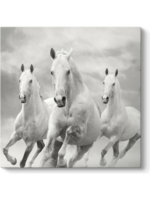 Tabloshop Koşan Beyaz At Tablosu