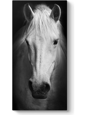 Tabloshop Ganyan At Tablosu