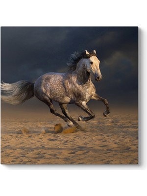 Tabloshop Kırçıllı At Tablosu