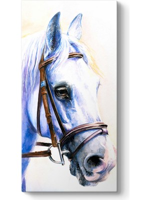 Tabloshop Tjk At Tablosu