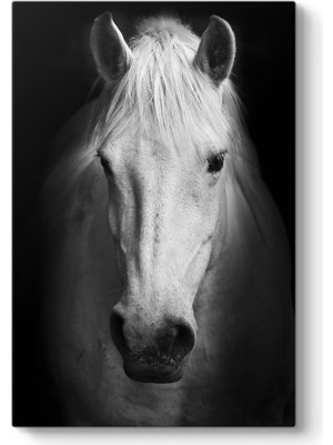 Tabloshop Ganyan At Tablosu