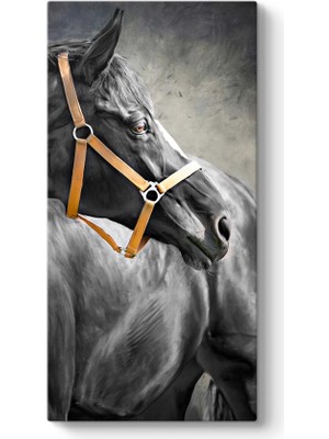 Tabloshop Siyah At Tablosu