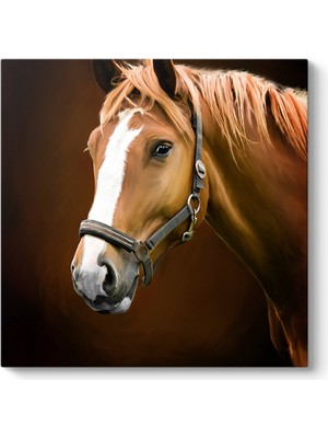 Tabloshop Kahverengi At Profil Tablosu