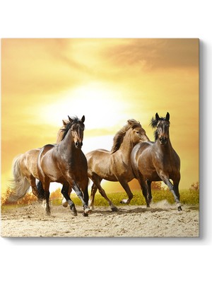 Tabloshop Gün Batımı Atlar Tablosu