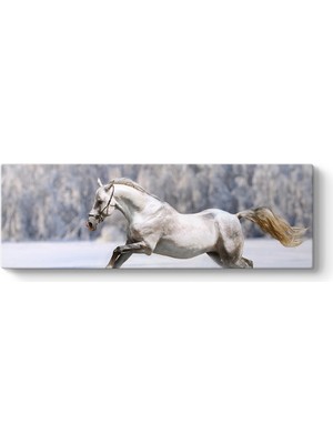 Tabloshop Karda Koşan Beyaz At Tablosu