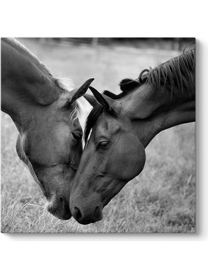 Tabloshop Çift Atlar Tablosu