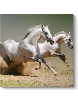 Tabloshop Kumda Koşan Beyaz Atlar Tablosu