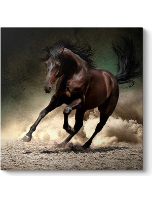 Tabloshop Yabani At Tablosu