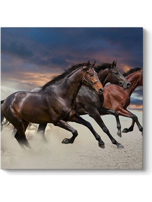 Tabloshop Kahverengi Atlar Tablosu