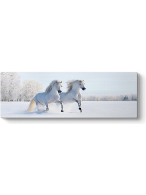 Tabloshop Beyaz Atlar Panorama Tablo