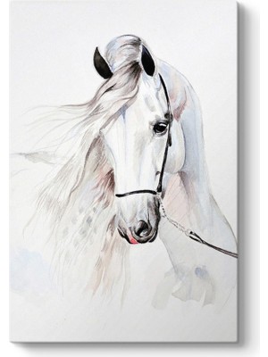 Tabloshop Çizim Beyaz At Tablosu
