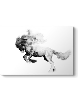 Tabloshop Siyah Soyut At Tablosu