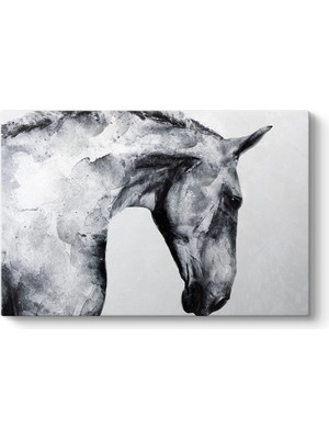 Tabloshop Sanatsal Siyah Beyaz At Tablosu