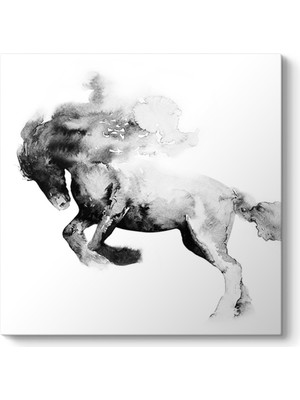 Tabloshop Siyah Soyut At Tablosu