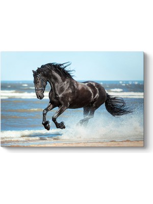 Tabloshop Suda Koşan Siyah At Tablosu