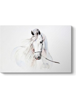Tabloshop Çizim Beyaz At Tablosu