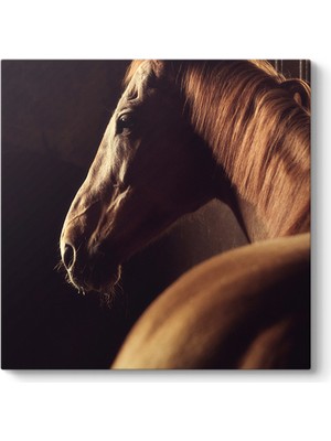 Tabloshop Sanatsal At Tablosu