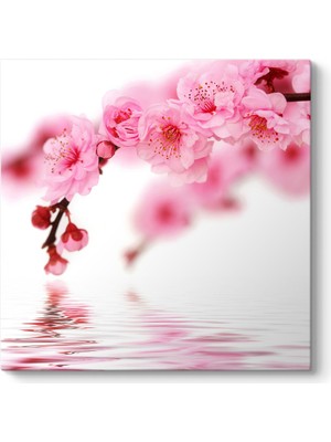 Tabloshop Spring Flowers Tablosu