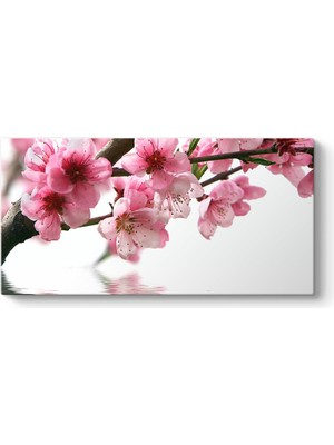 Tabloshop Pembe Çiçek ve Su Tablosu