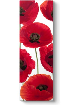 Tabloshop Gelincik Çiçeği Vektör Tablosu