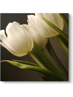 Tabloshop Lale Çiçeği Tablosu