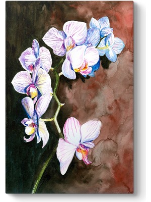 Tabloshop Orkide Yağlıboya Tablosu