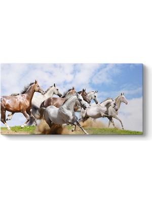 Tabloshop Koşan Atlar Tablosu
