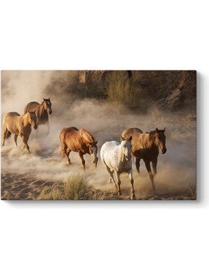 Tabloshop Yabani Atlar Tablosu