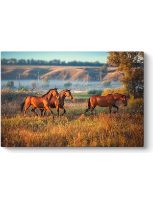 Tabloshop Yabani At Sürüsü Tablosu