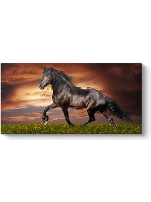 Tabloshop Kırda Siyah At Tablosu