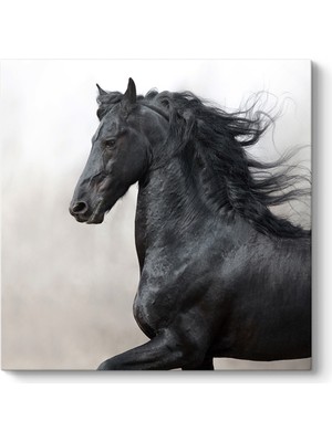 Tabloshop Puslu At Tablosu