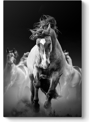 Tabloshop Siyah Beyaz Atlar Tablosu