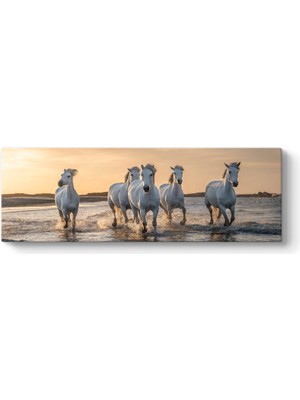 Tabloshop Camargue'da Koşan Beyaz Atlar Tablosu